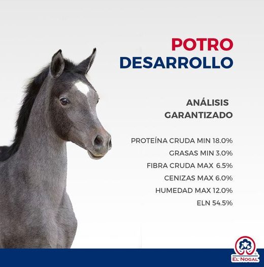 Potro Desarrollo