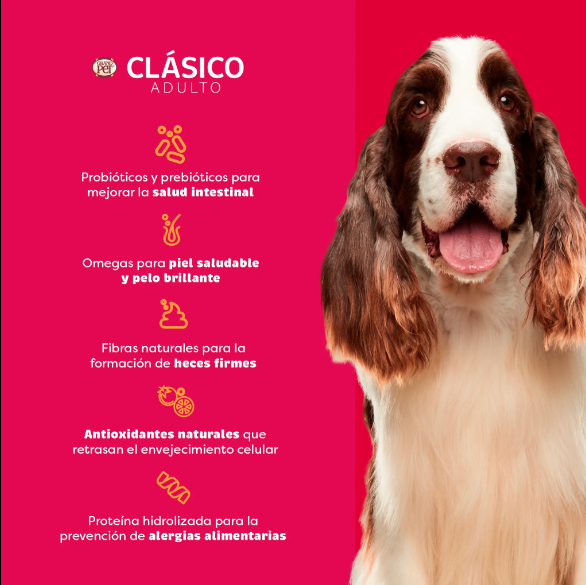 Grandpet - Clásico Adulto - Image 3